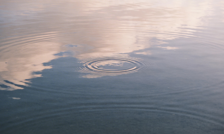 Distorted expressions of unintegrated feminine energy.