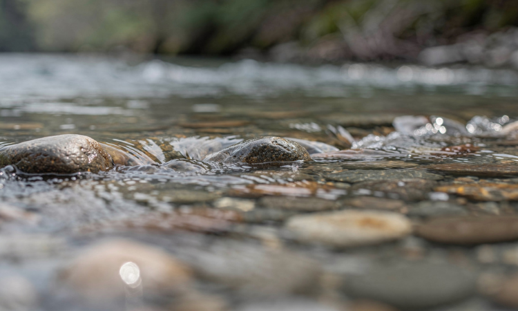 Timeless spiritual books teaching effortless alignment.
