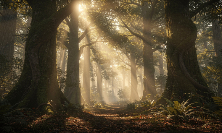 The Sacred Spiritual Connection with Nature and Human Awakening