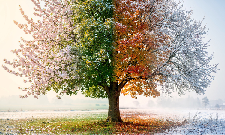 natural cycles reflecting spiritual transformation