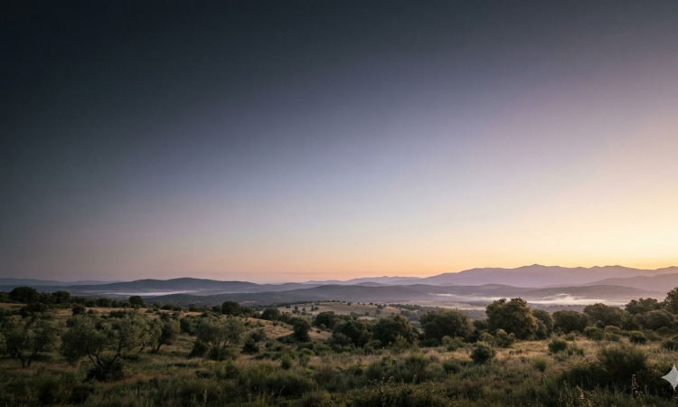 awakening through recognition of the divine within