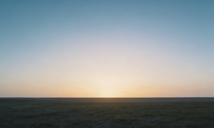 clarity emerging from the teachings of the Masters