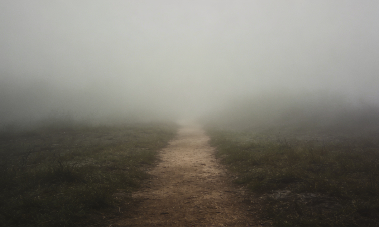 uncertainty and debate surrounding the Masters of the Far East review